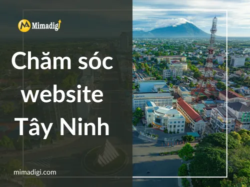 Website Care in Tay Ninh