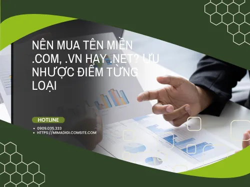 Should You Buy a .com, .vn, or .net Domain? Advantages and Disadvantages of Each Type