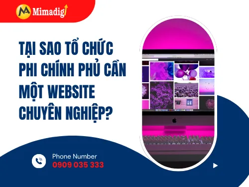 Thiết kế website tổ chức phi chính phủ (NGO)