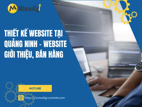 Thiết kế website tại Quảng Ninh – Website giới thiệu, bán hàng