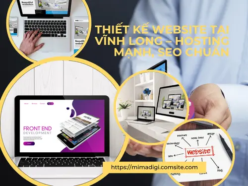 Website Design in Vinh Long – Powerful Hosting, Standard SEO