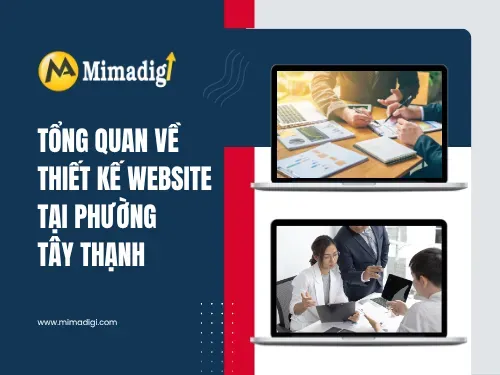 Website Design in Tay Thanh Ward, Ho Chi Minh City