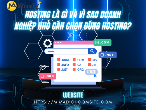 Choosing the Right Hosting for Small Business Websites with MIMADIGI