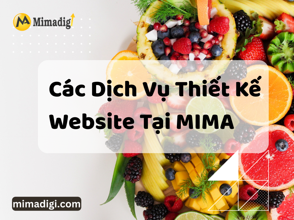 Website Design Services At MIMA