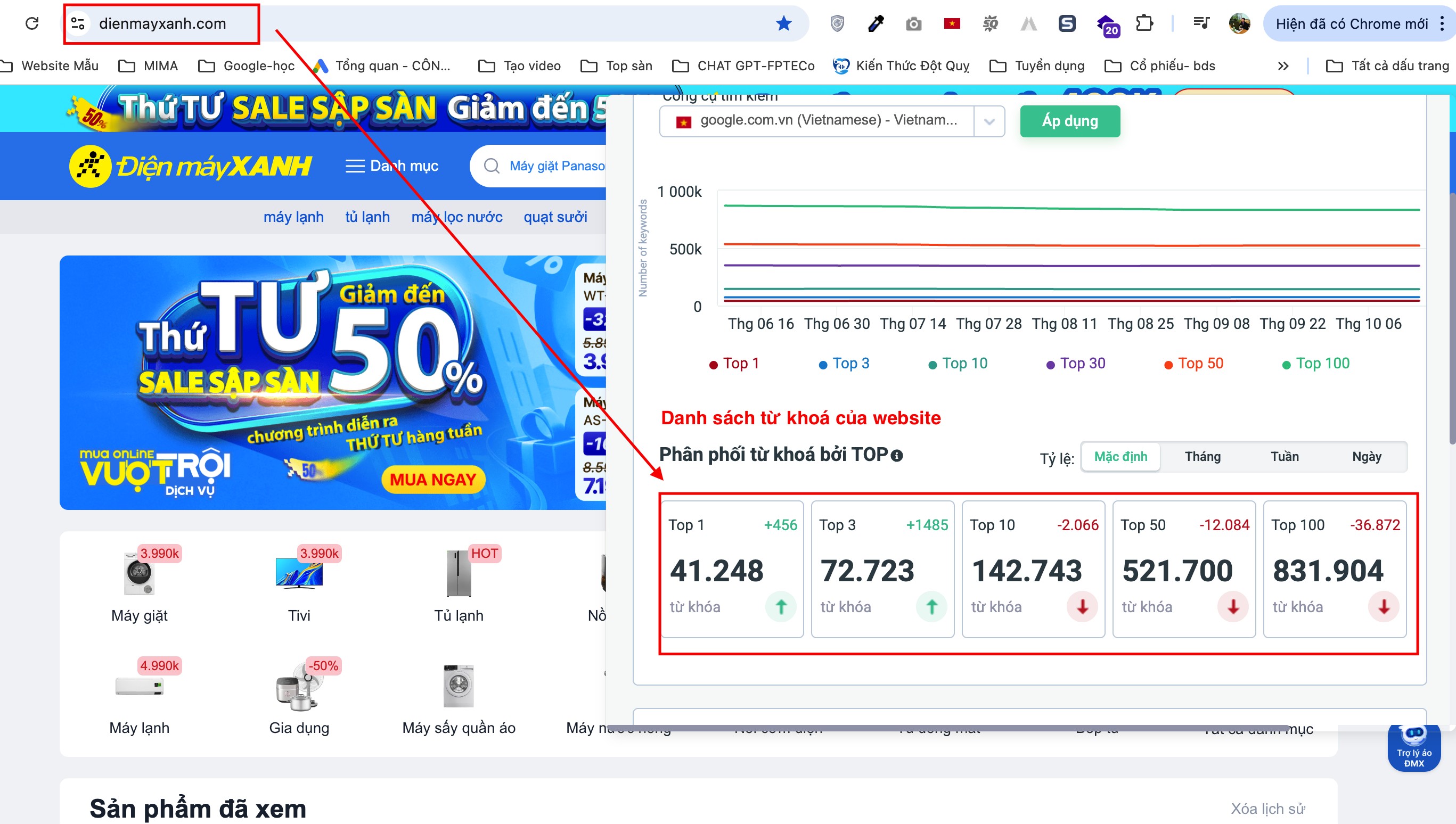 How to Check If Your Website Has Been Optimized for Google SEO?
