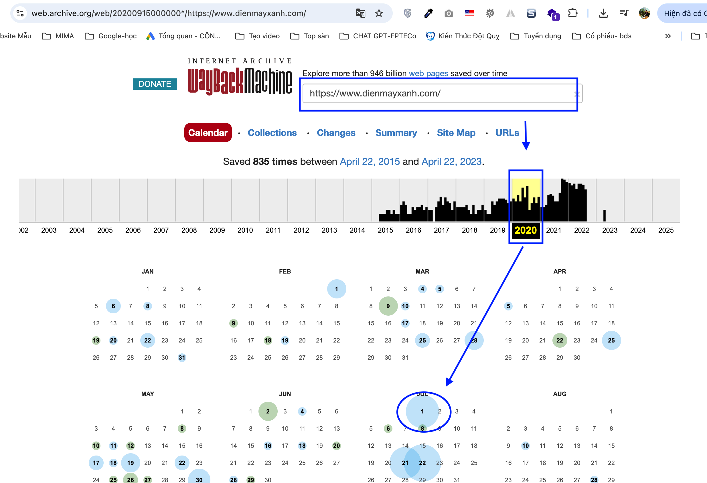 How to Check If Your Website Has Been Optimized for Google SEO?