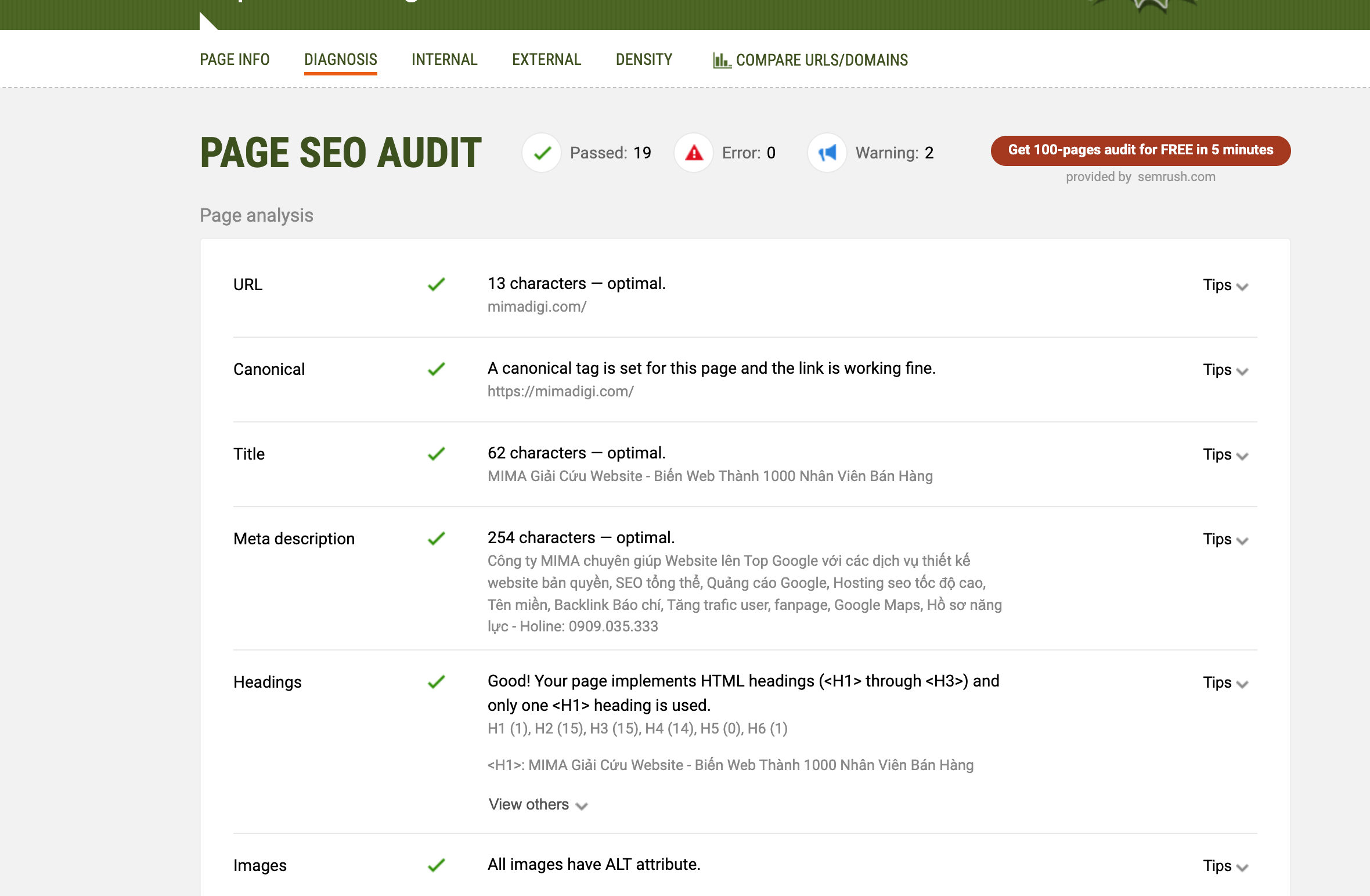 How to Check If Your Website Has Been Optimized for Google SEO?