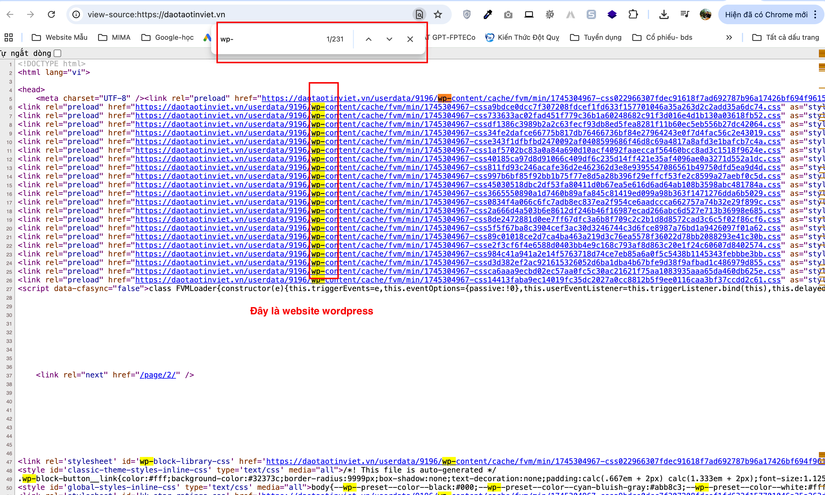 How to Check If Your Website Has Been Optimized for Google SEO?