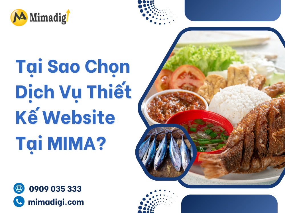 Why Choose Website Design Services at MIMA?