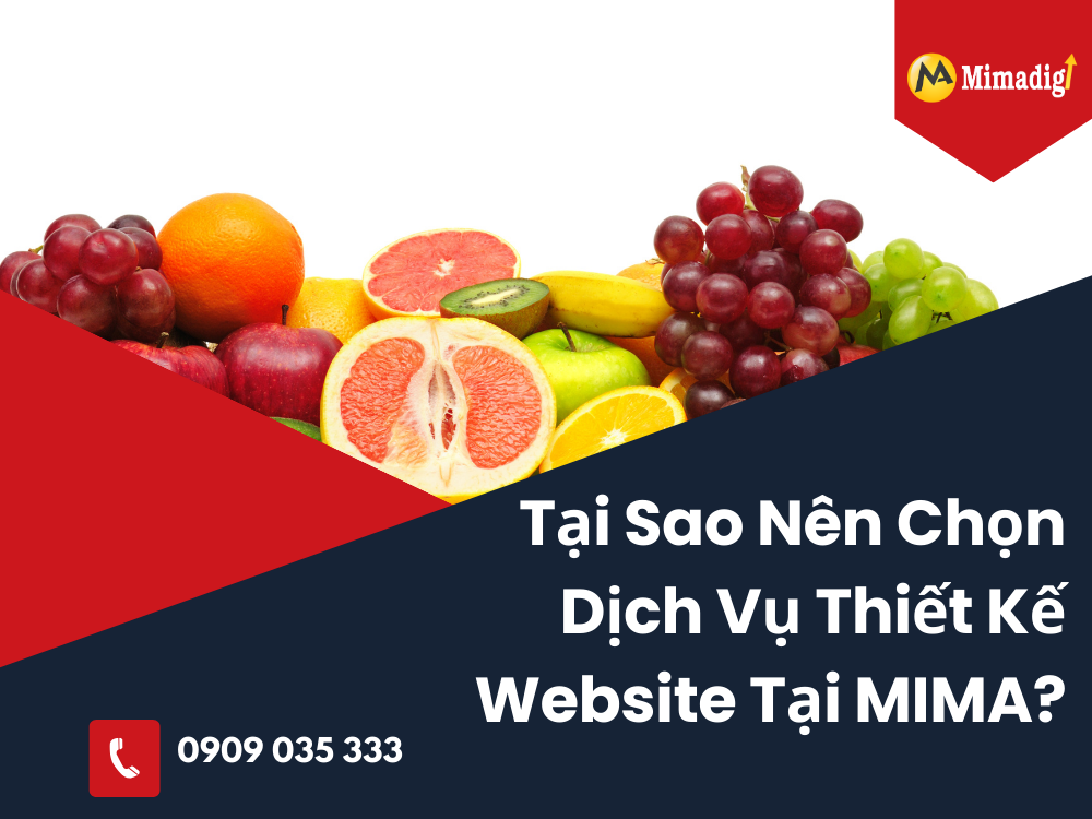 Why Choose Website Design Services At MIMA?