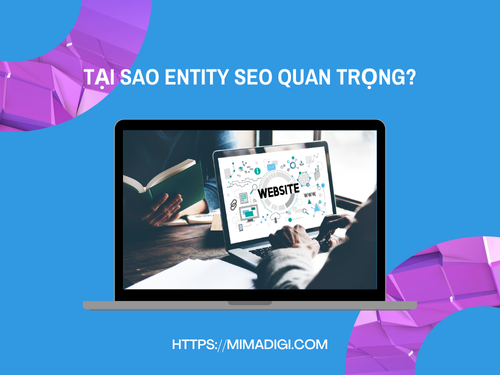 Entity SEO: A New Trend for Rapidly Increasing Website Trust at MIMADIGI