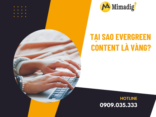 Evergreen Content and How to Apply It with MIMADIGI