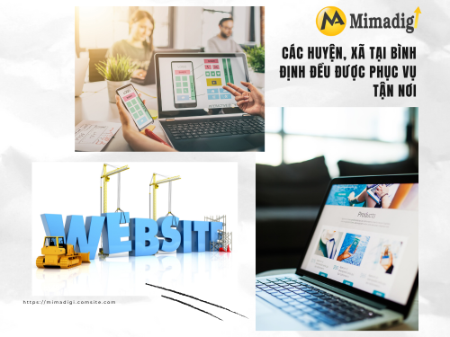 Website Design in Binh Dinh – SEO Optimization and Advertising