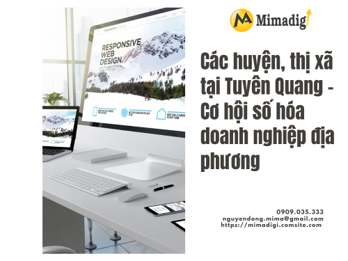Website Design in Tuyen Quang – Google Ads Support with mimadigi