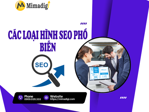 What is SEO? A Basic SEO Guide for Beginners with MIMADIGI