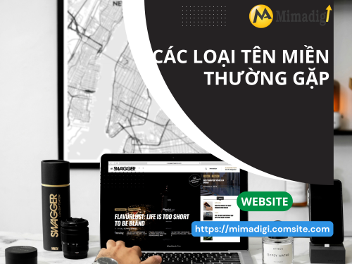 What is a Domain Name? The Importance of Domain Names in Online Business AT MIMADIGI