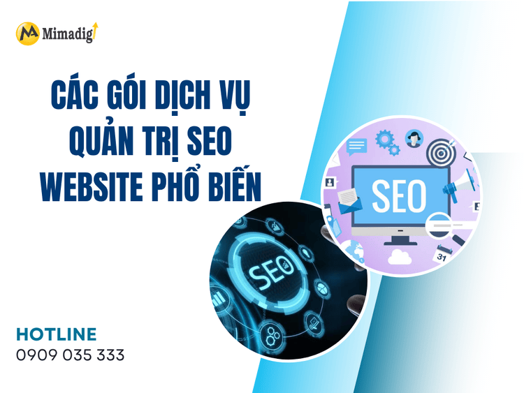 Các gói dịch vụ quản trị SEO website phổ biến tại MIMA