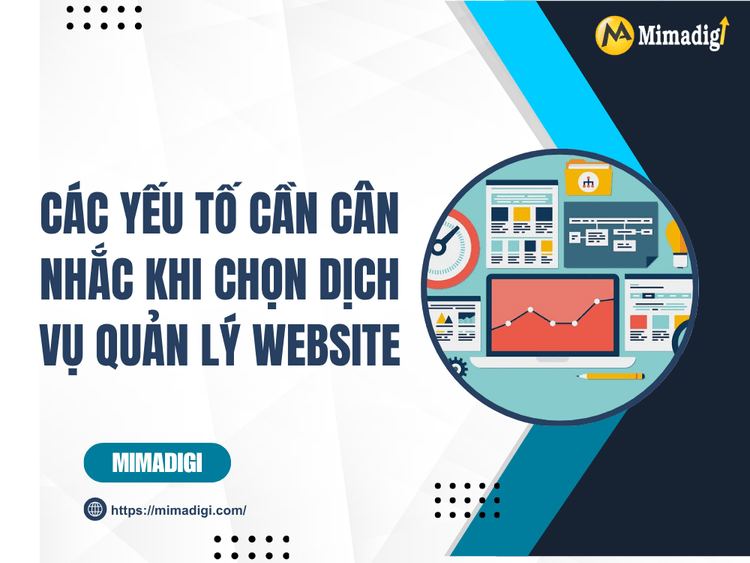 Factors to Consider When Choosing a Website Management Service at MIMA