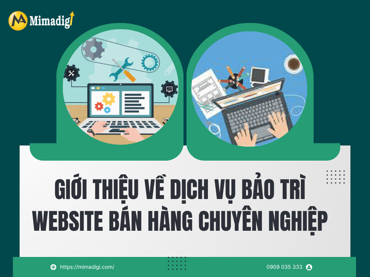 Introduction to Professional E-commerce Website Maintenance Services at MIMA