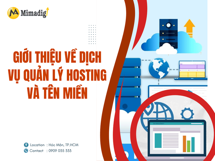 Introduction to hosting and domain management services at MIMA