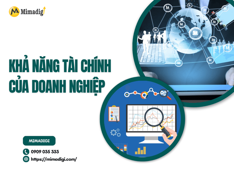 Khả năng tài chính của doanh nghiệp tại MIMA