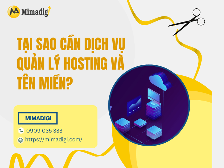 Why is hosting and domain management service needed? at MIMA