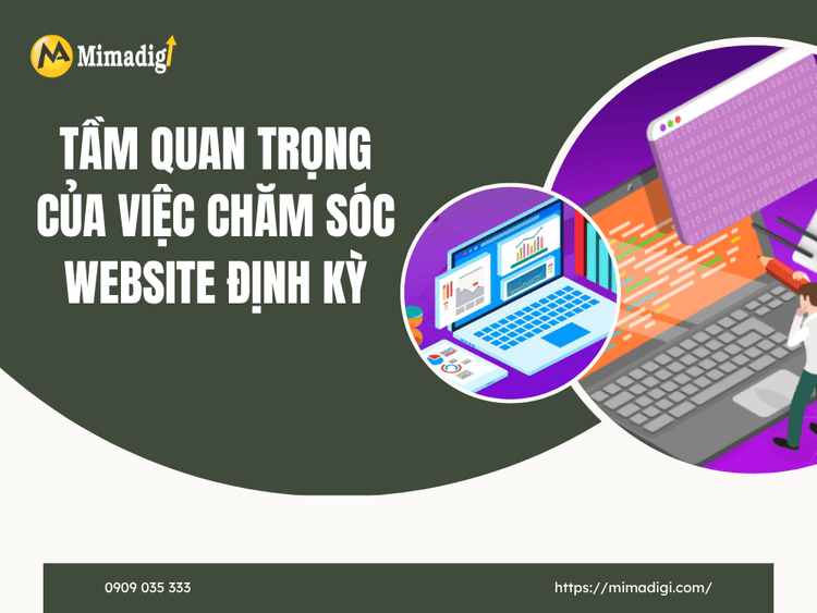 Tầm quan trọng của việc chăm sóc website định kỳ tại MIMA