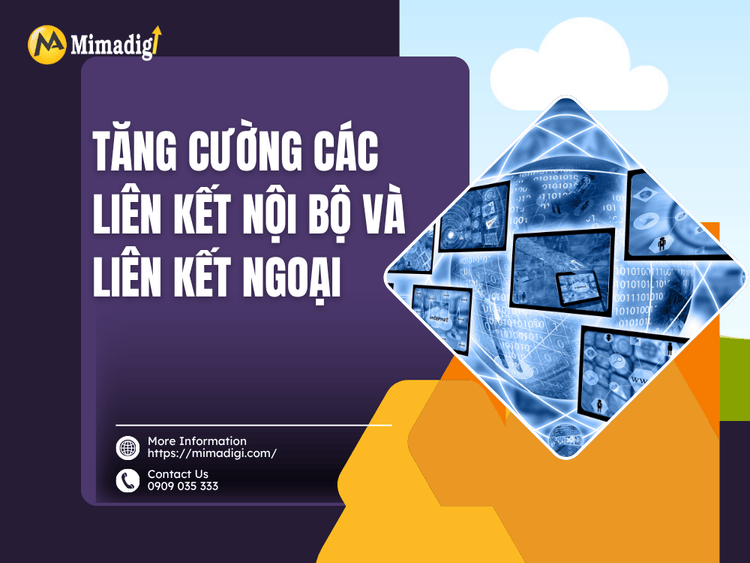 Tăng cường các liên kết nội bộ và liên kết ngoại tại MIMA