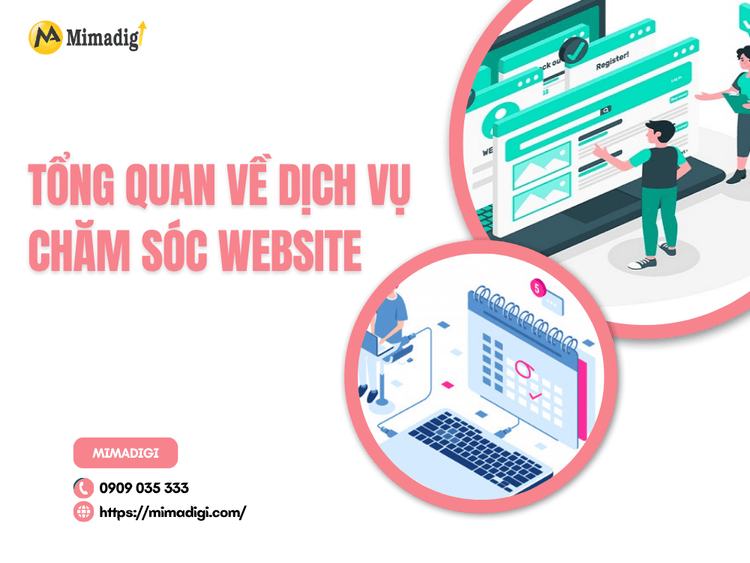 Overview of Website Maintenance Services at MIMA