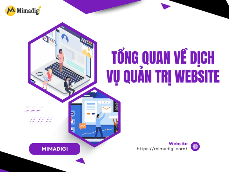 Tổng quan về dịch vụ quản trị website tại MIMA