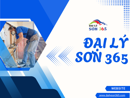 Sơn 365 – Giải pháp sơn toàn diện cho không gian bền đẹp mỗi ngày tại mimadigi