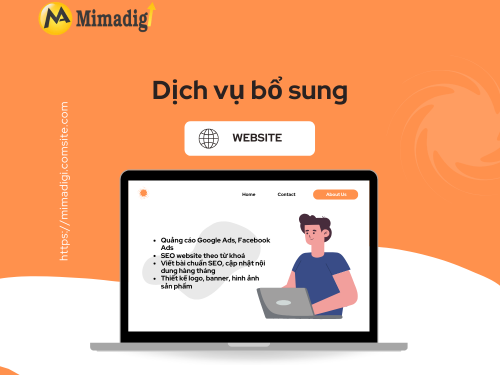 Website Design in Binh Thuan – Multi-Field, SEO Standard with MIMADIGI