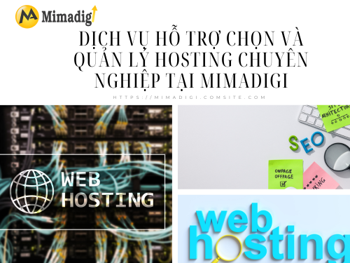 Choosing the Right Hosting for Small Business Websites with MIMADIGI