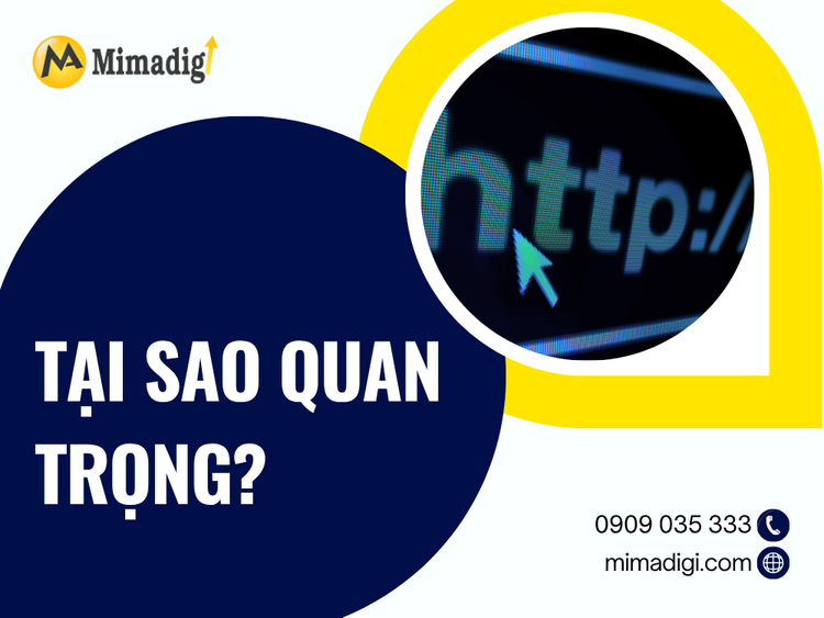 Why is Bac Ninh Website Care Important? at mima