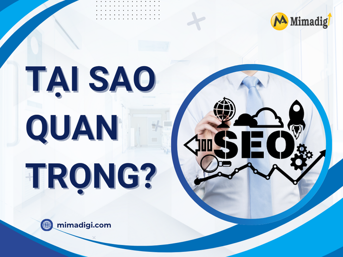 Why is Website Care Important in Hai Phong City? at MIMA