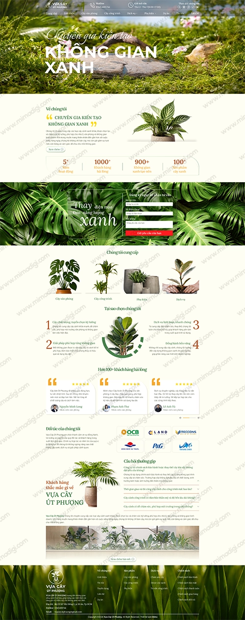 MIMA's Website Design Solution