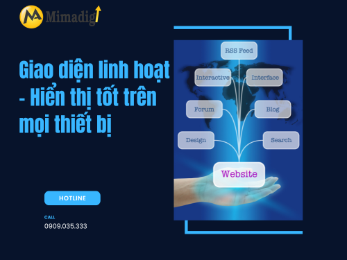 Website Design in Quang Ngai – Standard Design, Easy to Use by mimadigi