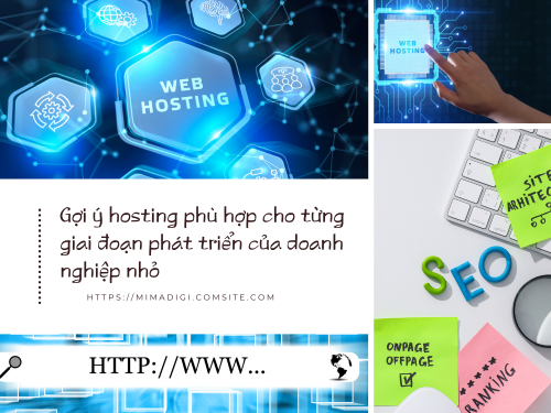 Choosing the Right Hosting for Small Business Websites with MIMADIGI