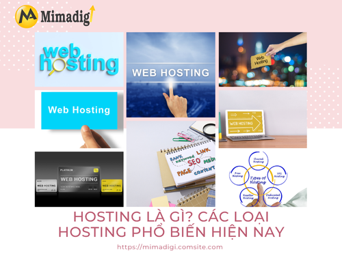 Hosting là gì? Các loại hosting phổ biến hiện nay của MIMADIGI