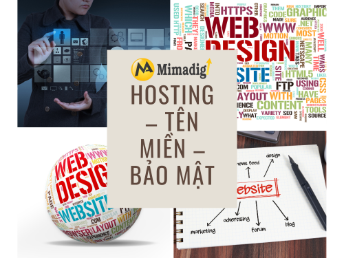 Website Design in Nghe An – SEO Standard, Free Hosting by MIMADIGI