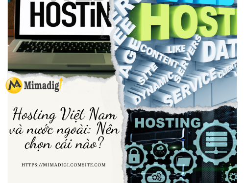Hosting là gì? Các loại hosting phổ biến hiện nay của MIMADIGI