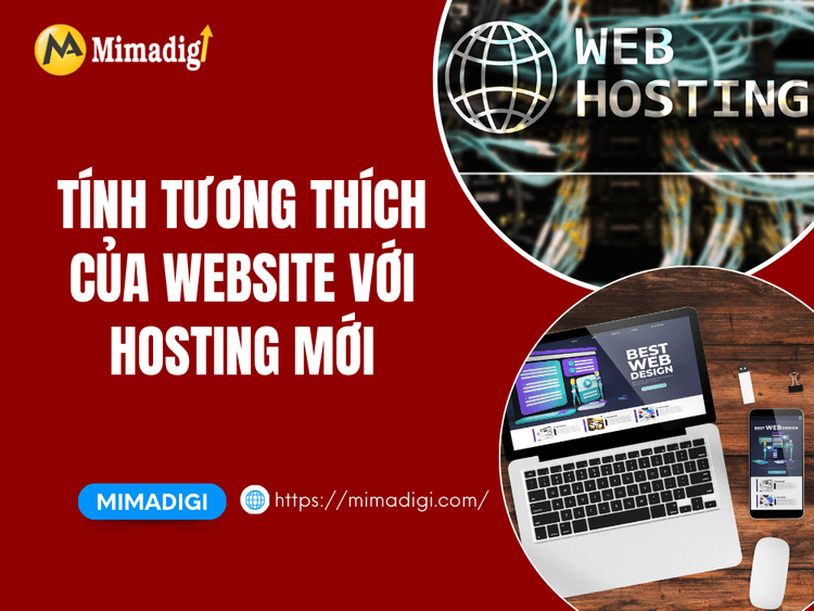 Website Compatibility with New Hosting at MIMA