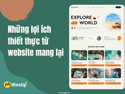 Website Design for Travel Companies in Vung Tau by MimaDigi
