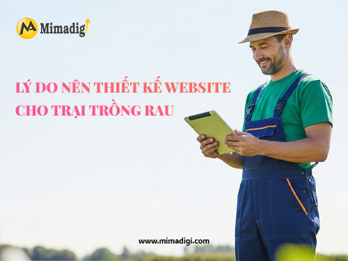 Thiết kế website trại trồng rau – hoa quả sạch tại mimadigi
