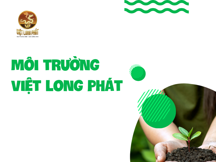 Environmental Website Design Project for Viet Long Phat with MIMADIGI