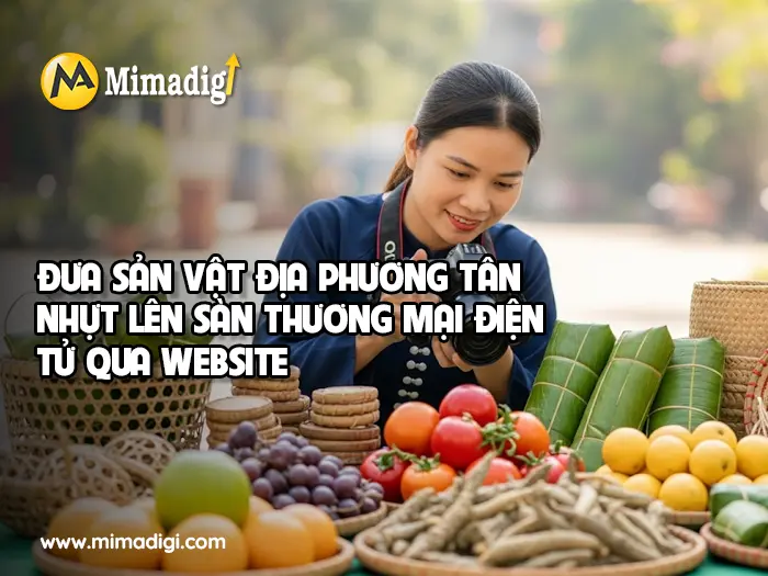 Website design in Tan Nhut Commune at mimadigi