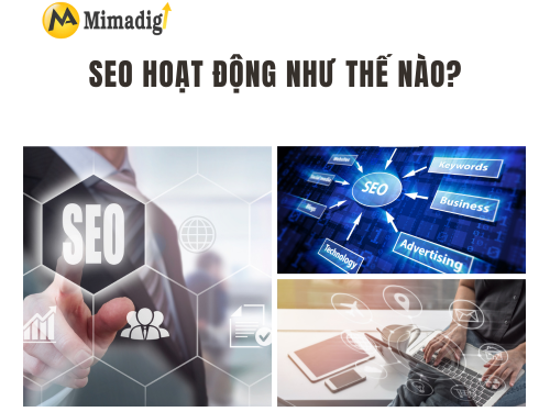 What is SEO? A Basic SEO Guide for Beginners with MIMADIGI