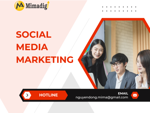 The Most Effective Digital Marketing Channels in 2025 with MIMADIGI