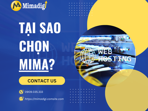 How to Choose the Right Hosting for Your Sales/Business Introduction Website with MIMADIGI