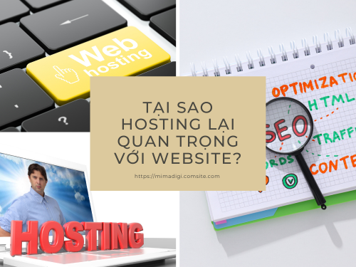 Hosting là gì? Các loại hosting phổ biến hiện nay của MIMADIGI